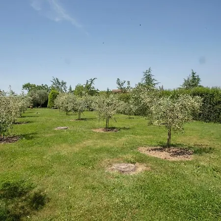 Appartamento - Il Torchio